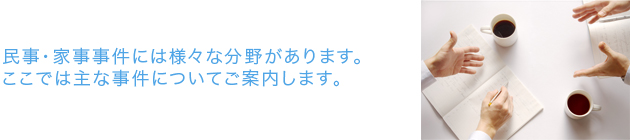 民事・家事事件には様々な分野があります。ここでは主な事件についてご案内します。