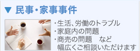 民事・家事事件　・生活、労働のトラブル・家庭内の問題・商売の問題など・幅広くご相談いただけます