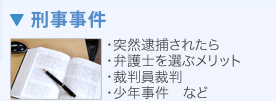 刑事事件　・突然逮捕されたら・弁護士を選ぶメリット・裁判員裁判・少年事件など